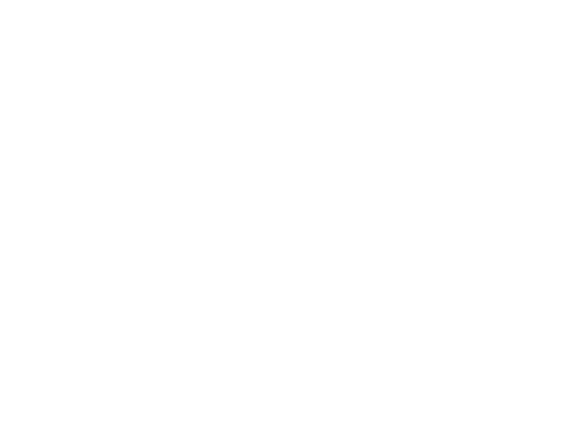 Laser Print